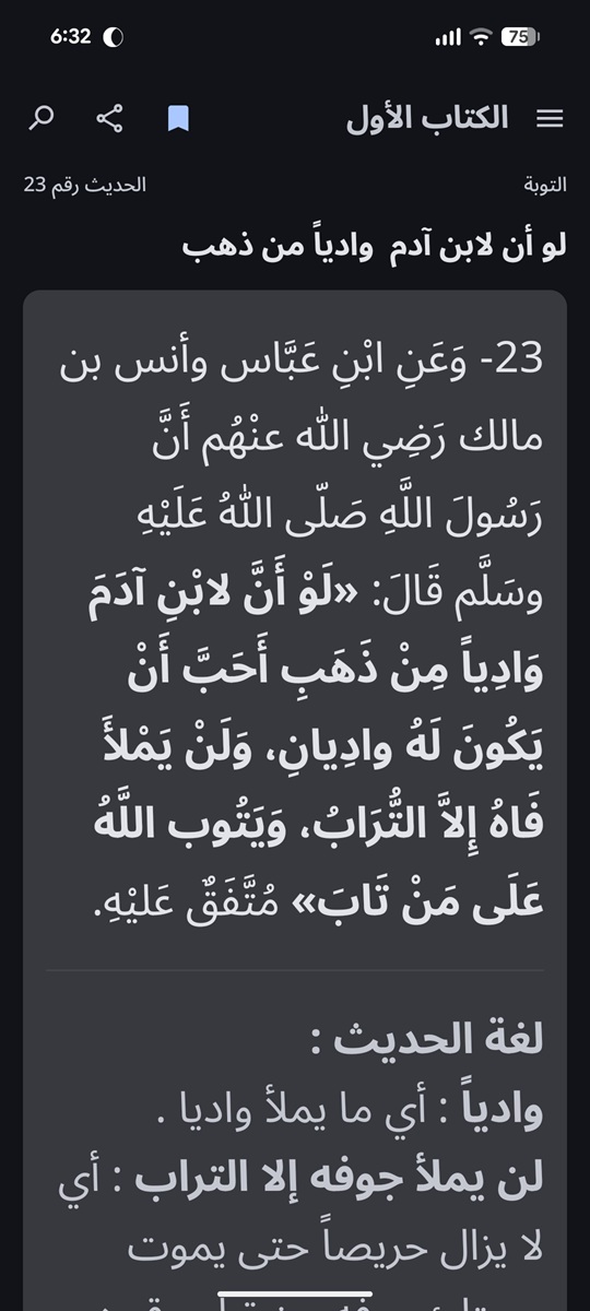 Riyad Al-Salheen Main Screen