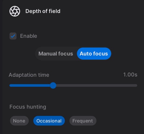 Auto Focus Options